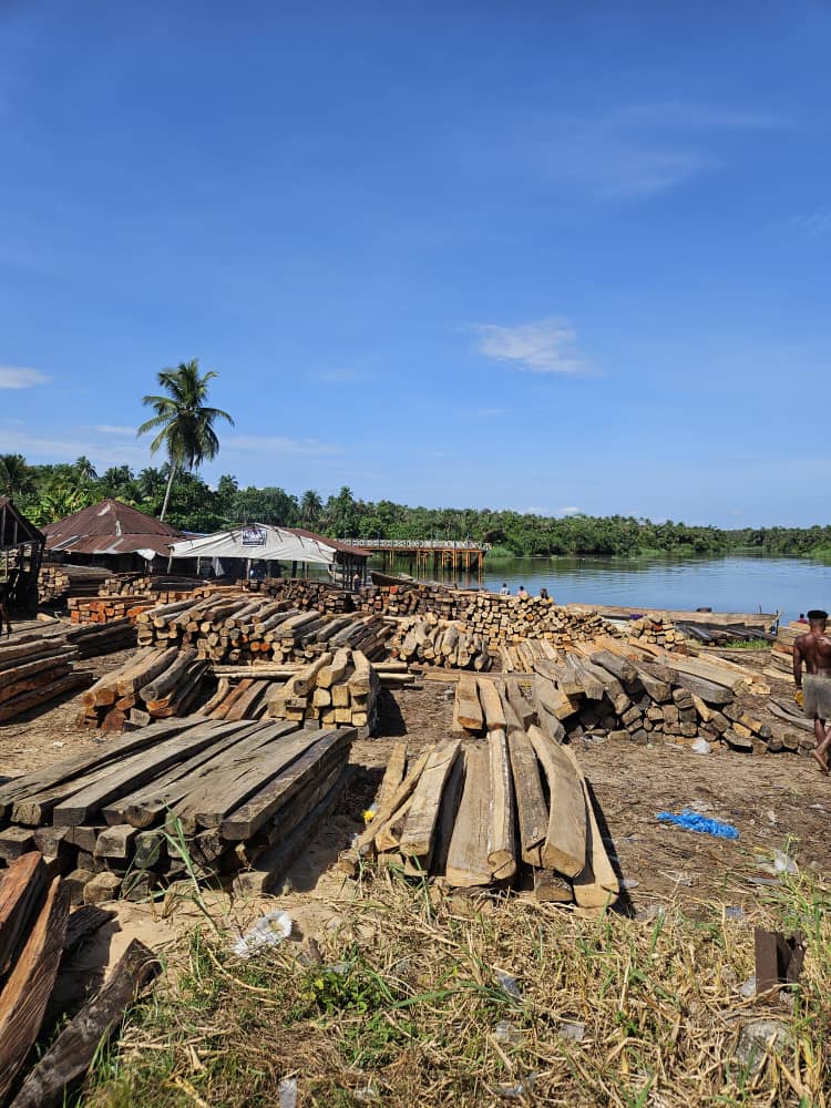 Ocean Freight Services